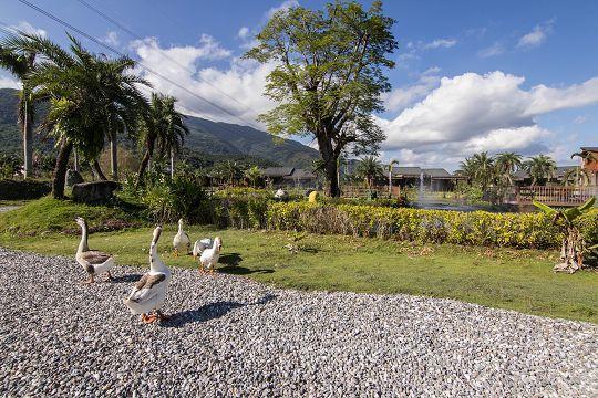 Ruisui Palm Lakes B&B Экстерьер фото