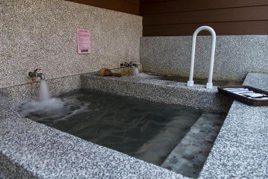 Ruisui Palm Lakes B&B Экстерьер фото